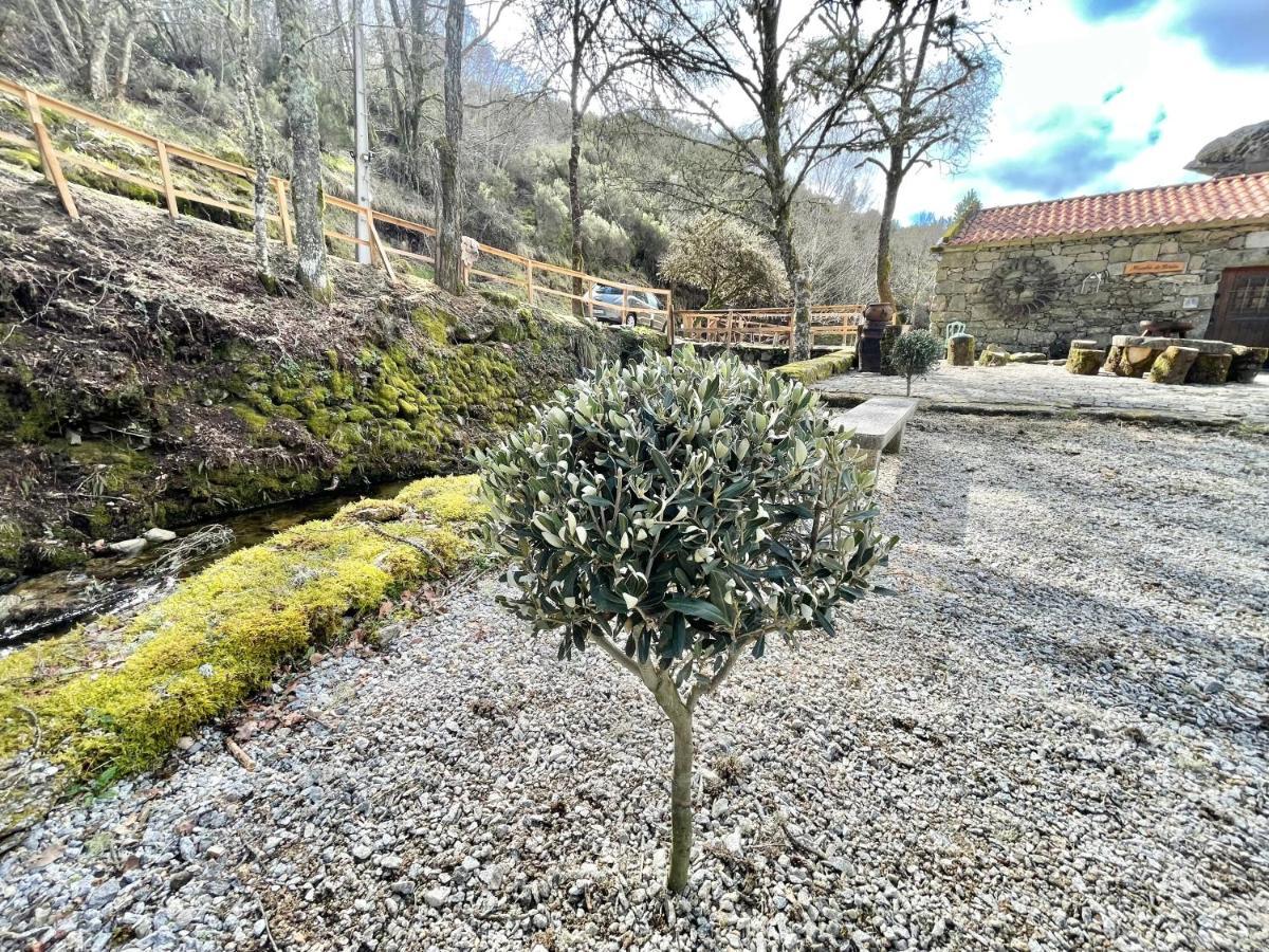 Moinho De Briao Holiday home Montalegre